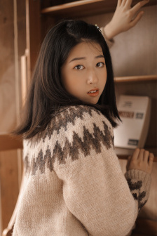 血岸情仇